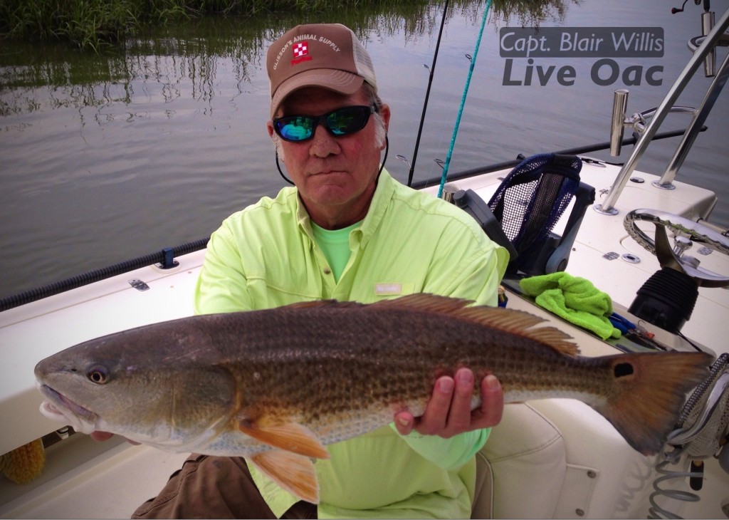 Late Winter Redfish