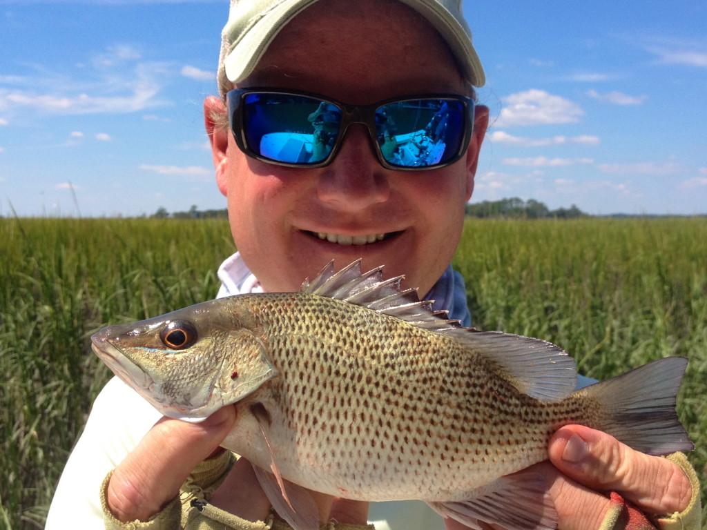 Mangrove Snapper Fishing In Hilton Head