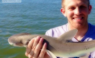 Hilton Head Shark Fishing First Sharks Of Season