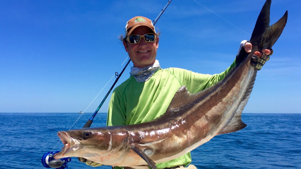 captain-blair-cobia-fishing